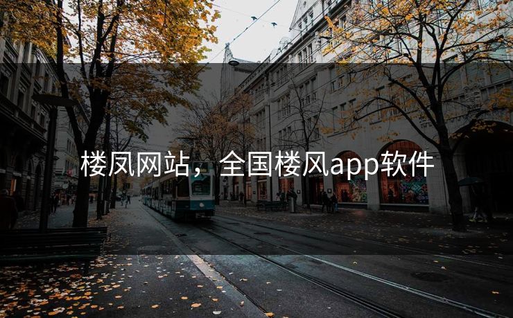 楼凤网站，全国楼风app软件