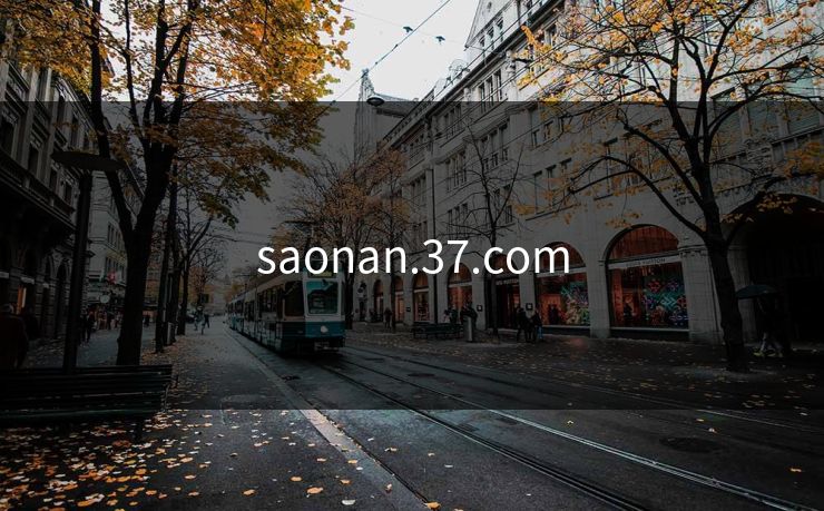 saonan.37.com