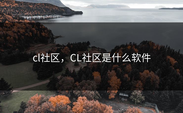 cl社区，CL社区是什么软件