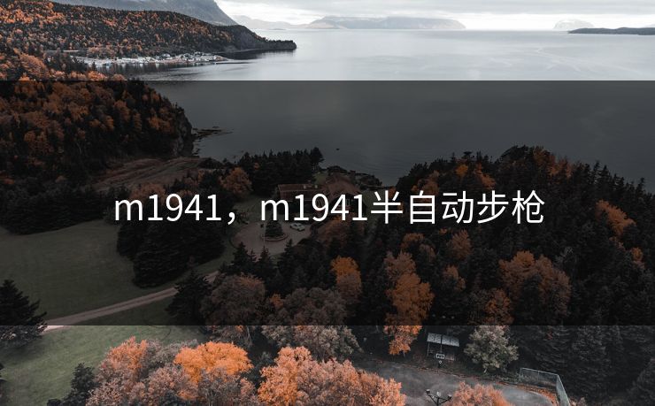 m1941，m1941半自动步枪
