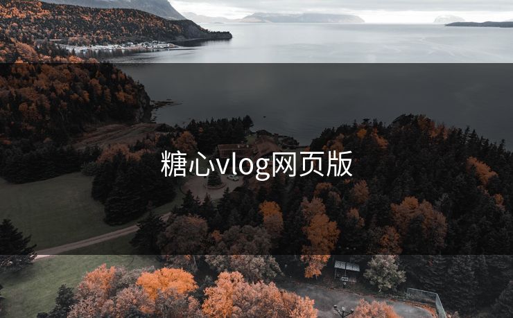 糖心vlog网页版