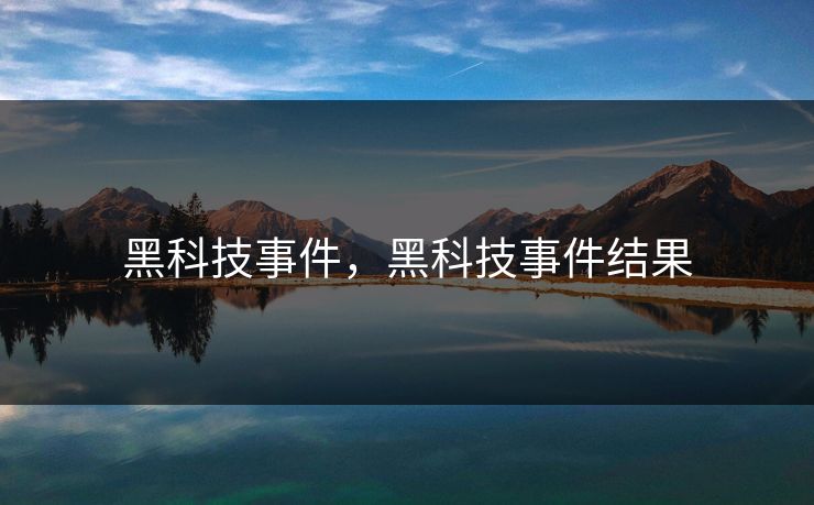 黑科技事件，黑科技事件结果